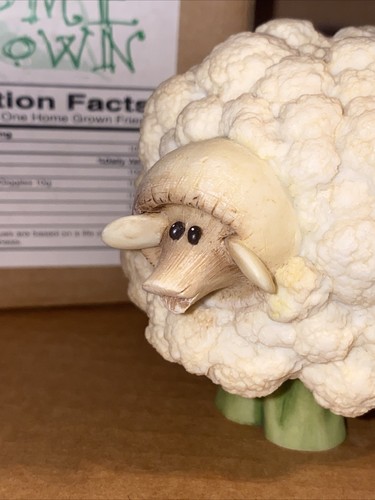 Enesco home grown cauliflower - enesco,